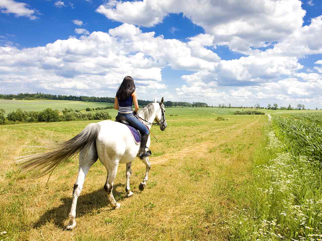 Кінні прогулянки.  ПК "Вестерн"